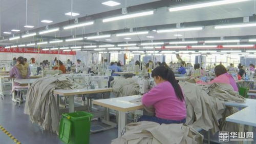 发展进行时 澄城乡村振兴加速跑，教育咨询服务助力村民生活更美好