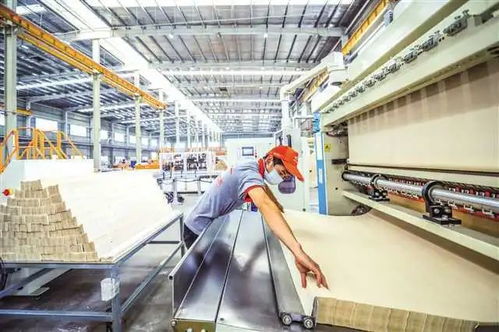 永川 奋力建设现代制造业与西部职业教育新高地