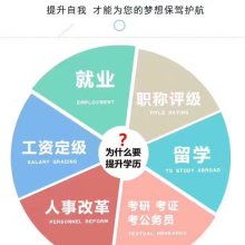 武汉思睿博途教育服务公司 专业教育咨询服务的引领者